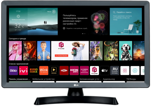 24" Телевизор LG 24TQ510S-PZ.ARUZ черный