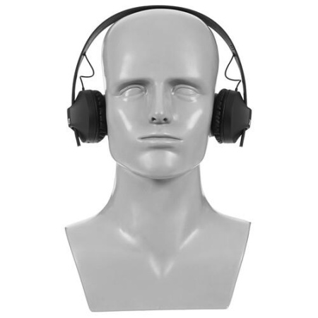 Беспроводные наушники Sennheiser HD 250 BT черный